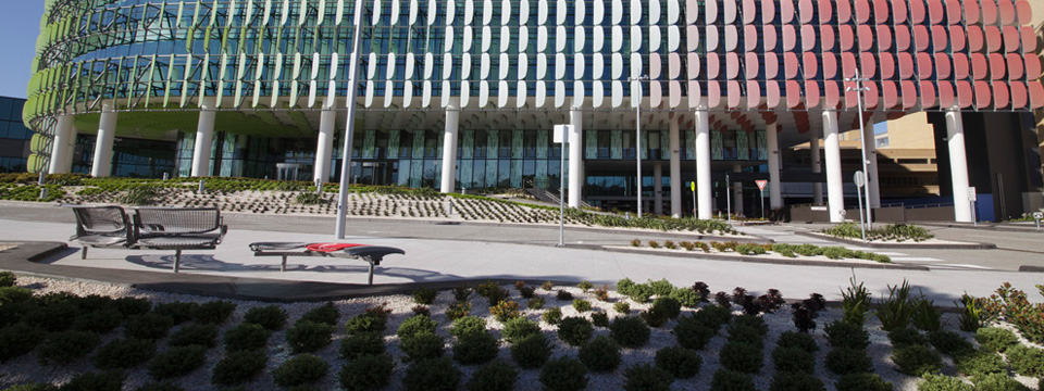 Welcome to the new Royal Children's Hospital website