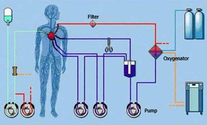 who not too How To Increase Nitric Oxide Levels Naturally thats why