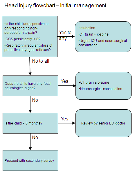 Clinical Practice Guidelines : Head injury