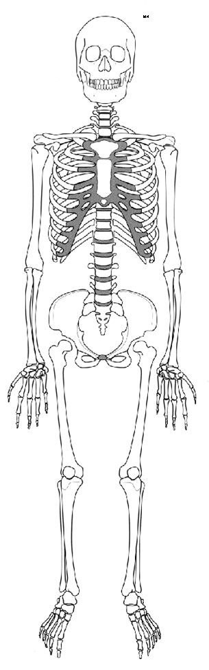 Clinical Practice Guidelines : Child Abuse Diagrams