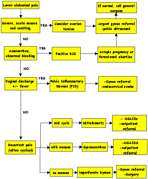 Clinical Practice Guidelines Lower Abdominal Pain Flowchart