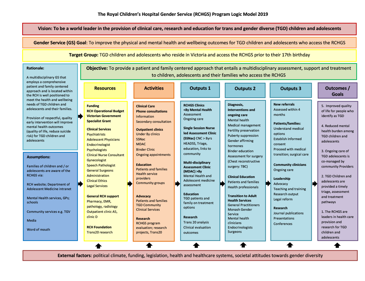 Program Logic Model 2016