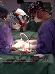 Cardiac Surgeons