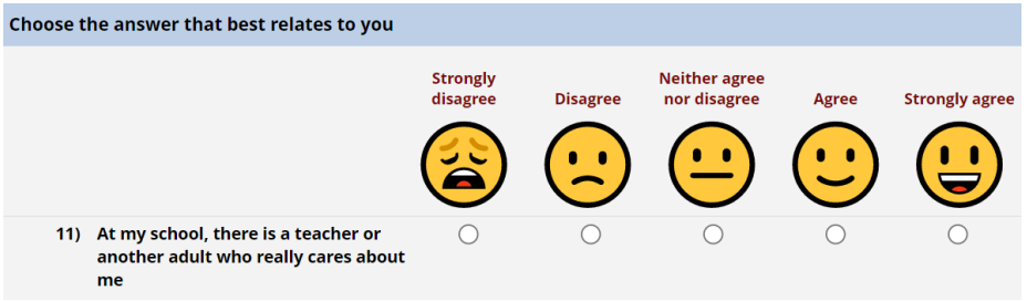 Survey-item_response Survey-item_response