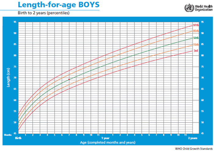 case2_c_length_boys.gif