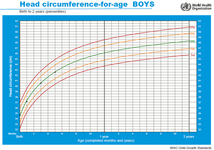 Who Growth Charts Head Circumference