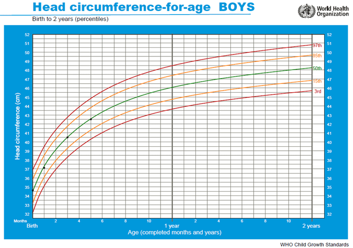 case5_c_head_boys.gif