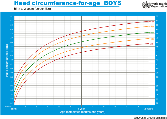 Baby Head Percentile Chart