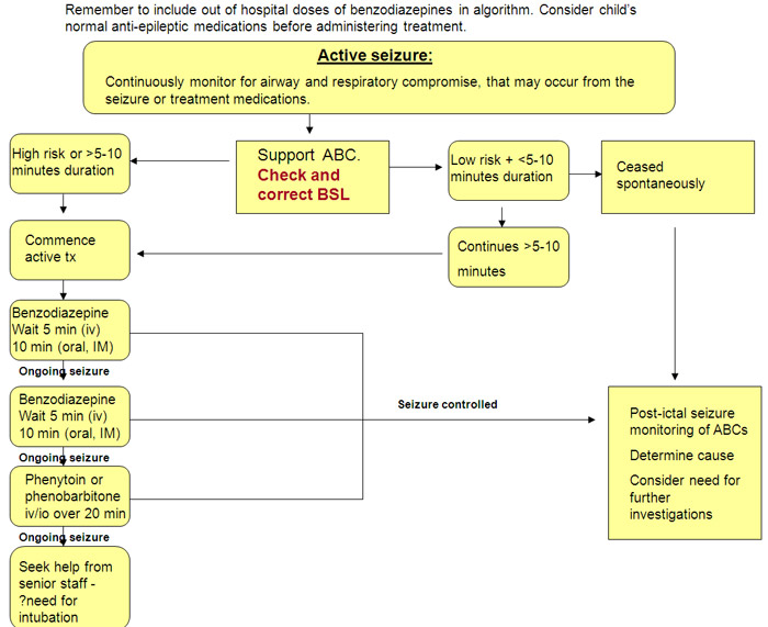 Pathophysiology Of Seizure Flow Chart