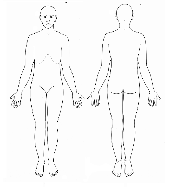 Body Chart Diagram