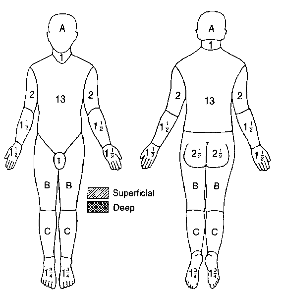 Burn Chart For Adults