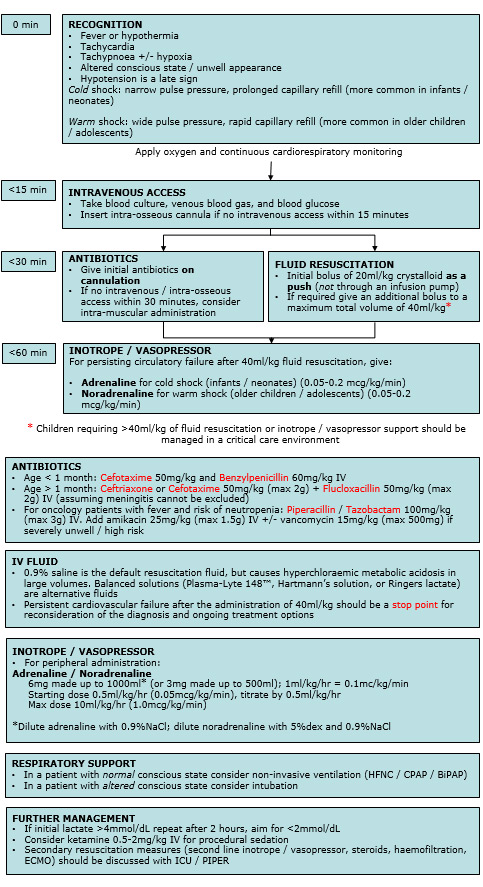 Iv Push Antibiotic Administration Chart