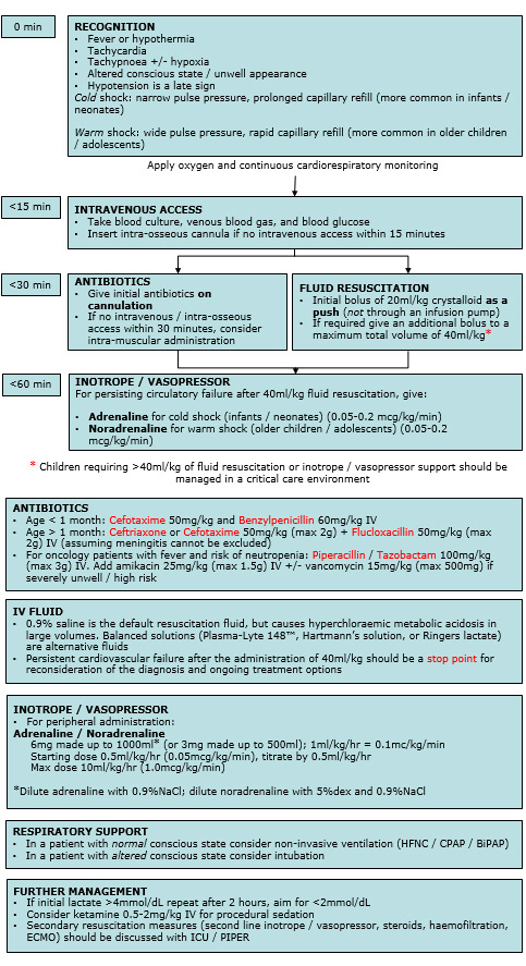 Veterinary Fluid Therapy Chart