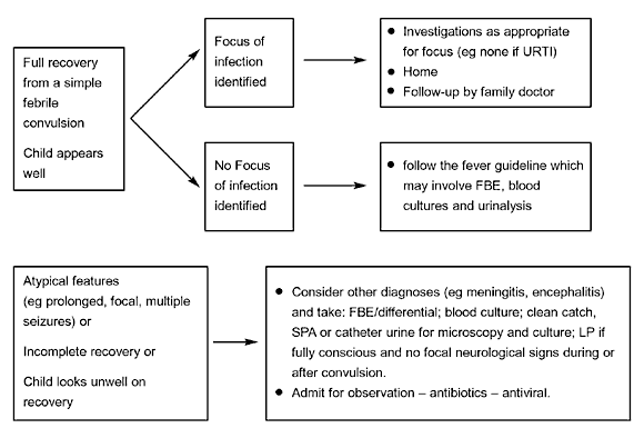 Pathophysiology Of Seizure Flow Chart