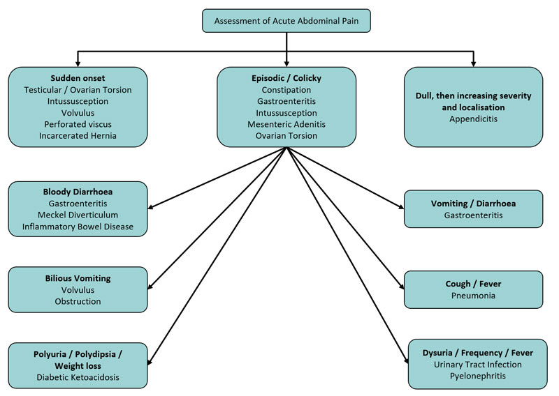 Clinical Practice Guidelines : Abdominal pain - acute