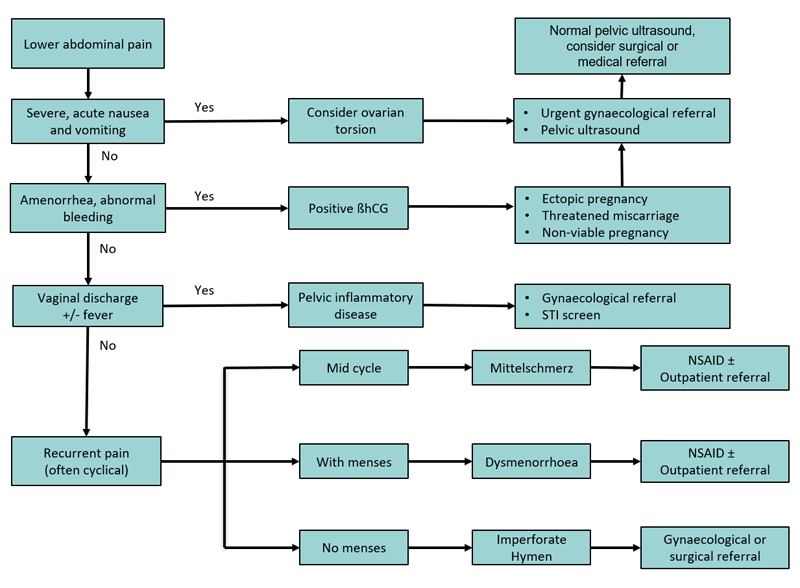 Adolescent_gynaecology