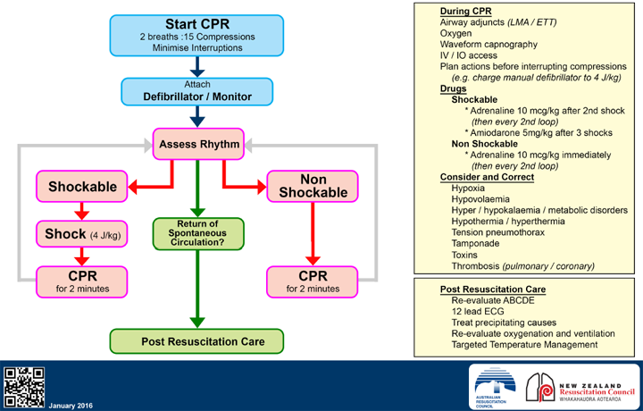 Infant Child Cpr Chart