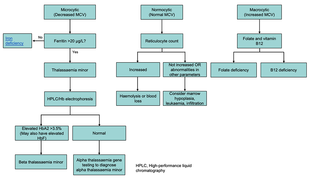 Anaemia Guideline