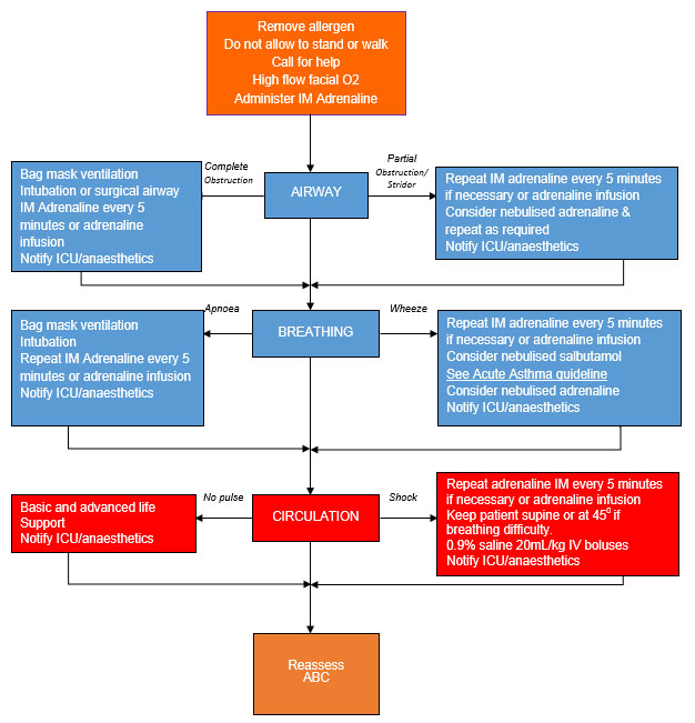 Arc Basic Life Support Flow Chart