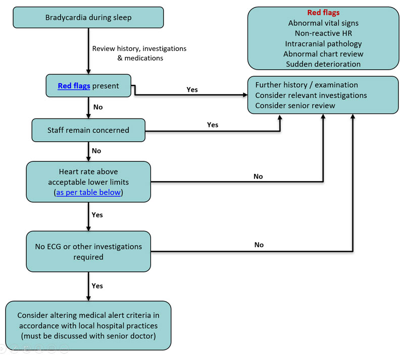 Bradycardia During Sleep