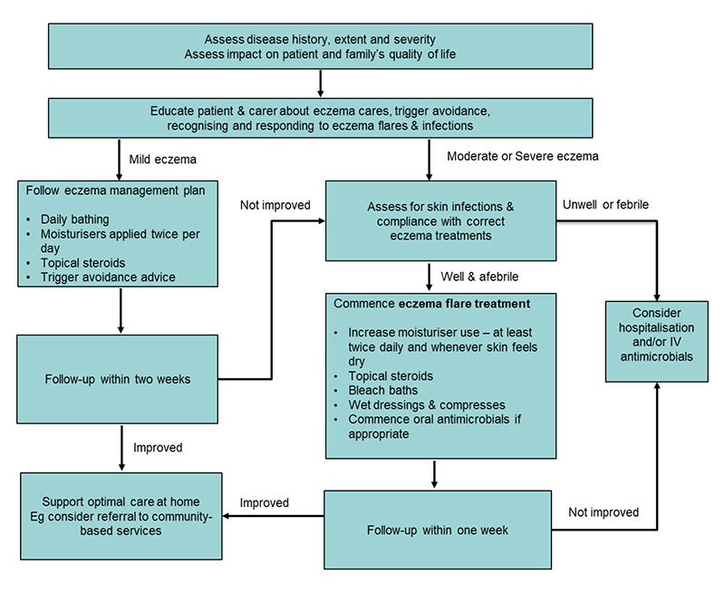 Eczema disgram 3