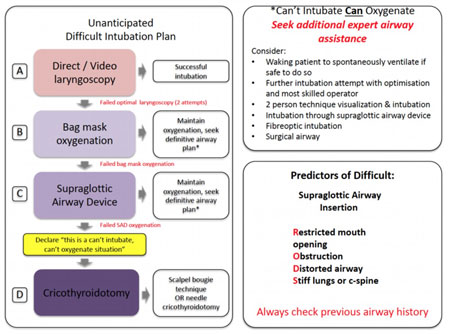 Emergency-airway-image-4