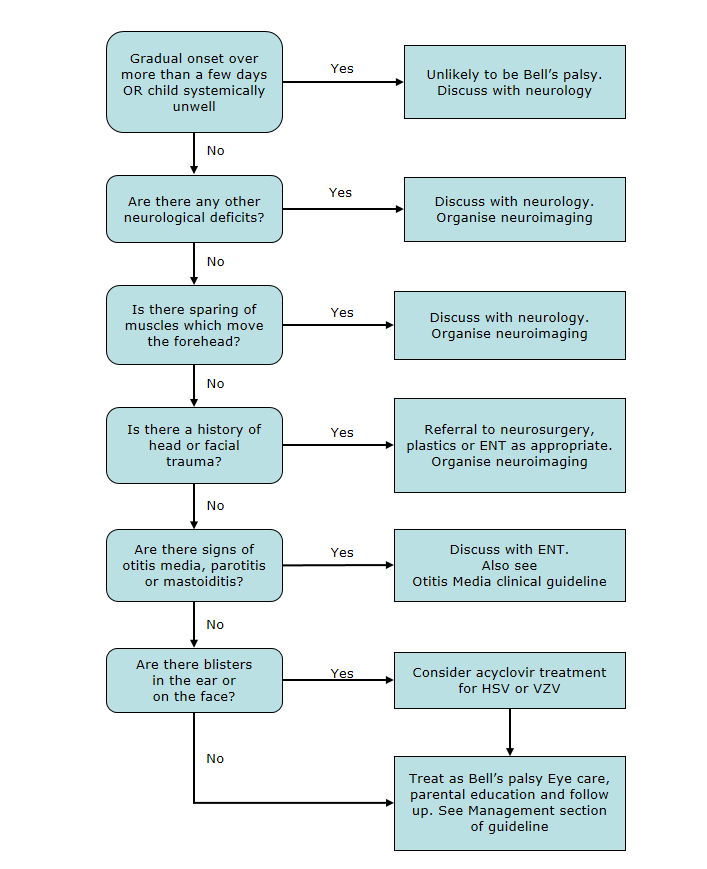 Pathophysiology Of Bell's Palsy In Flowchart