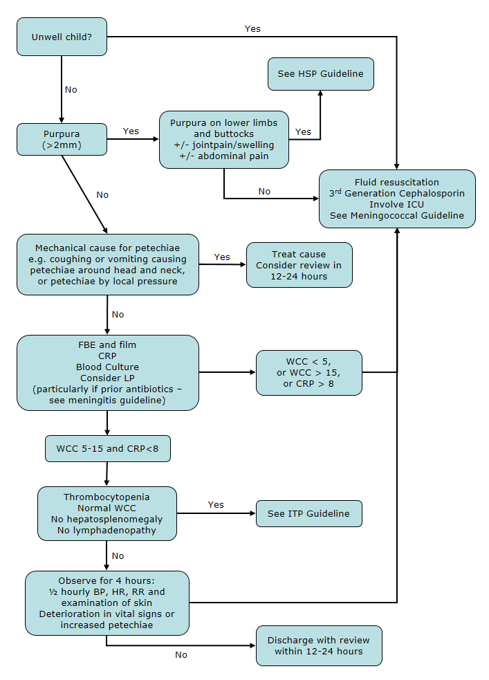 Meningitis Flow Chart