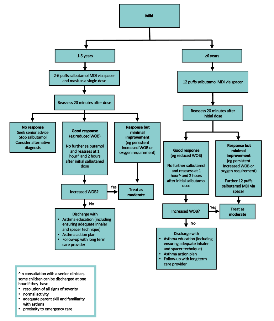 Management of mild asthma flowchart 