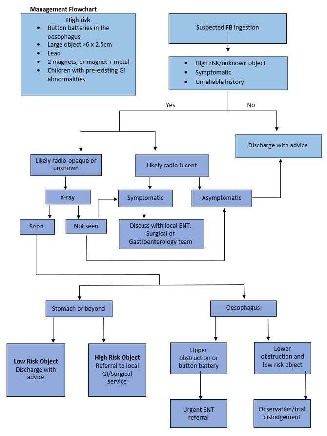 Clinical Practice Guidelines : Foreign body ingestion diagram of ingestion 