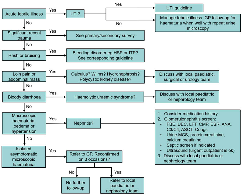 Haematuria