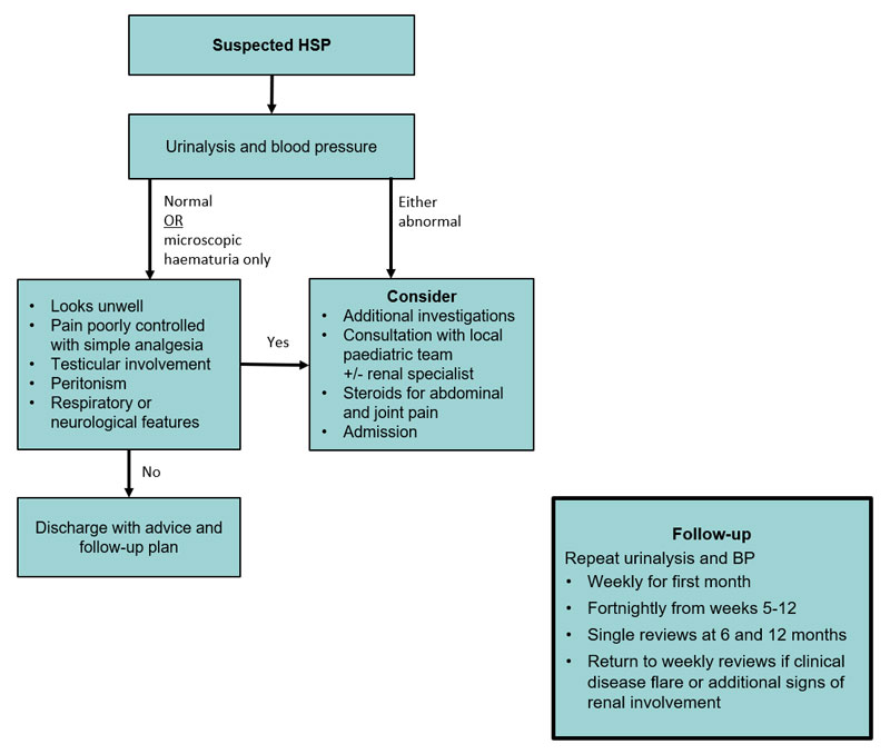 Clinical Practice Guidelines Henoch Schönlein Purpura