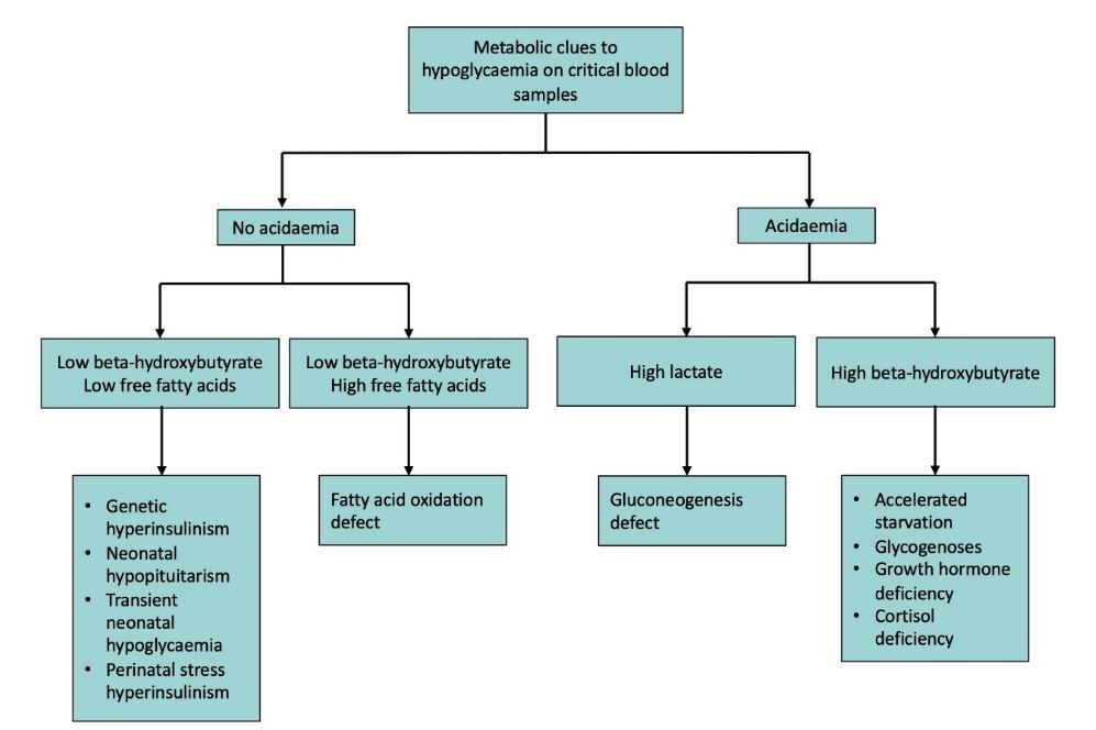 Hypoglycaemia Flow Chart 3 test results interpretation Hypoglycaemia Flow Chart 3 test results interpretation