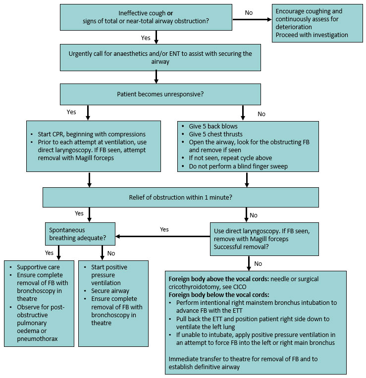 Clinical Practice Guidelines Foreign Bodies Inhaled