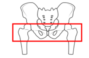 Pelvic binder application