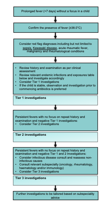 Prolonged fever flow chart