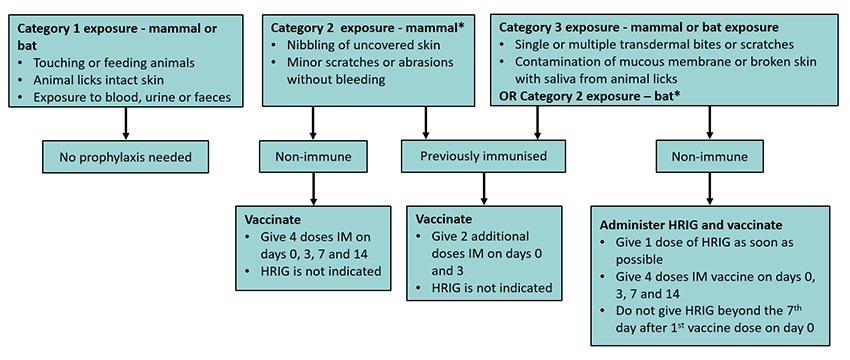 Rabies and Australian Bat Lyssavirus post exposure prophylaxis 