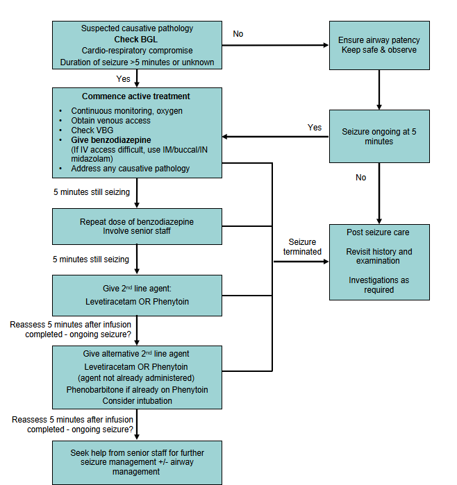 Seizures diagram Seizures diagram