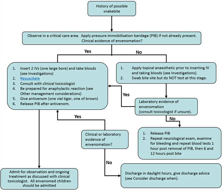 Clinical Practice Guidelines Snakebite