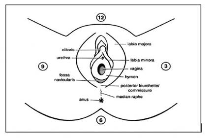 Diagram  Description automatically generated