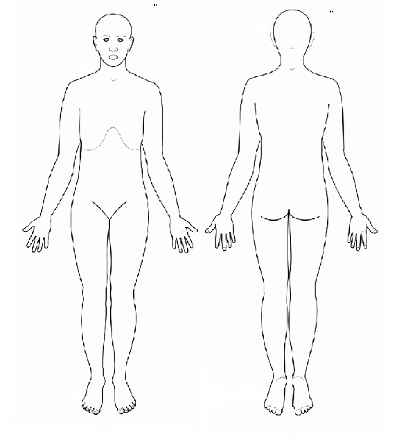Blank Anatomical Position Diagram Human Anatomy