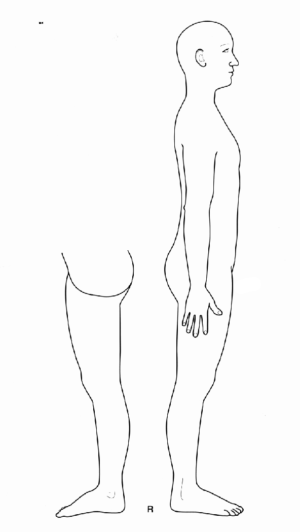 Blank Anatomical Position Diagram Human Anatomy