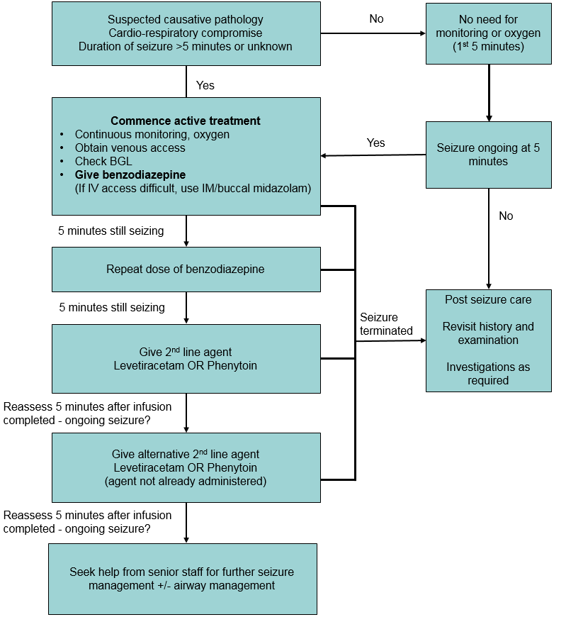 Pathophysiology Of Seizure Flow Chart