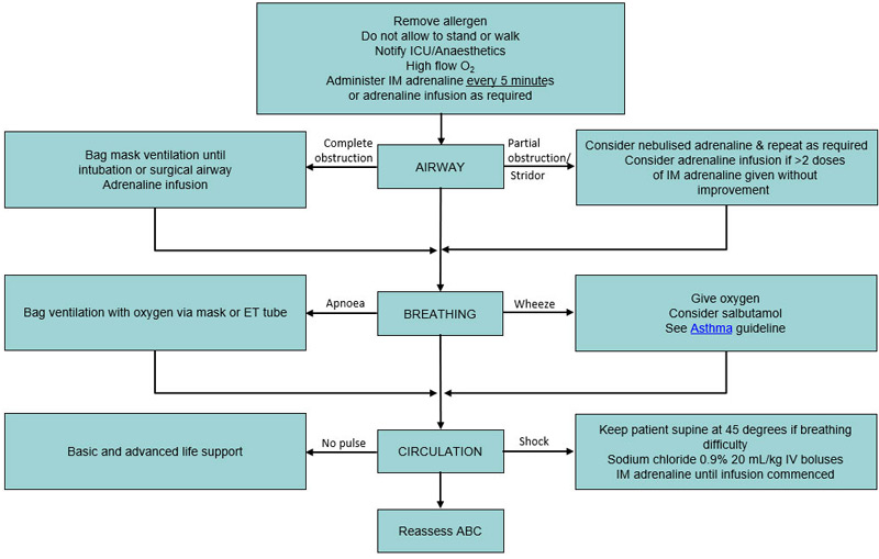 Clinical Practice Guidelines Anaphylaxis 2023