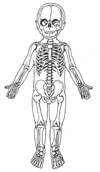 Clinical Practice Guidelines : Child abuse diagrams diagram right side face 