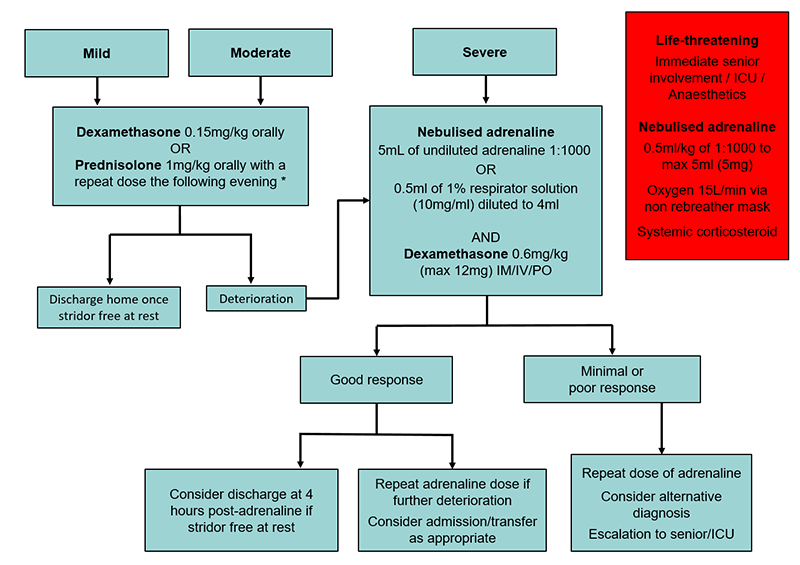 Prednisolone 15mg 5ml Dosage Chart