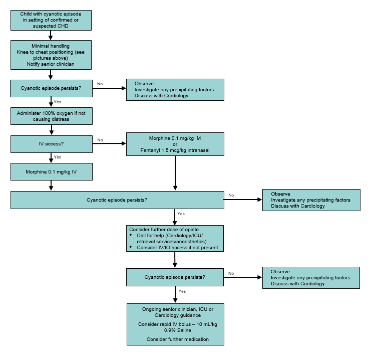 Cyanotic Episodes in Congenital Heart Disease