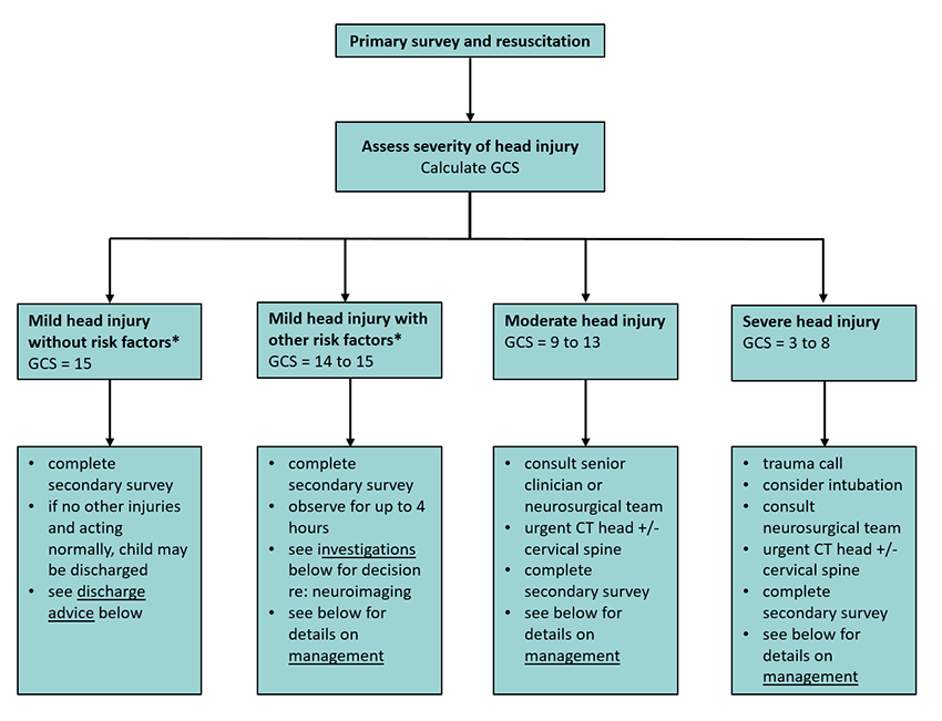 Diagram Head Injury