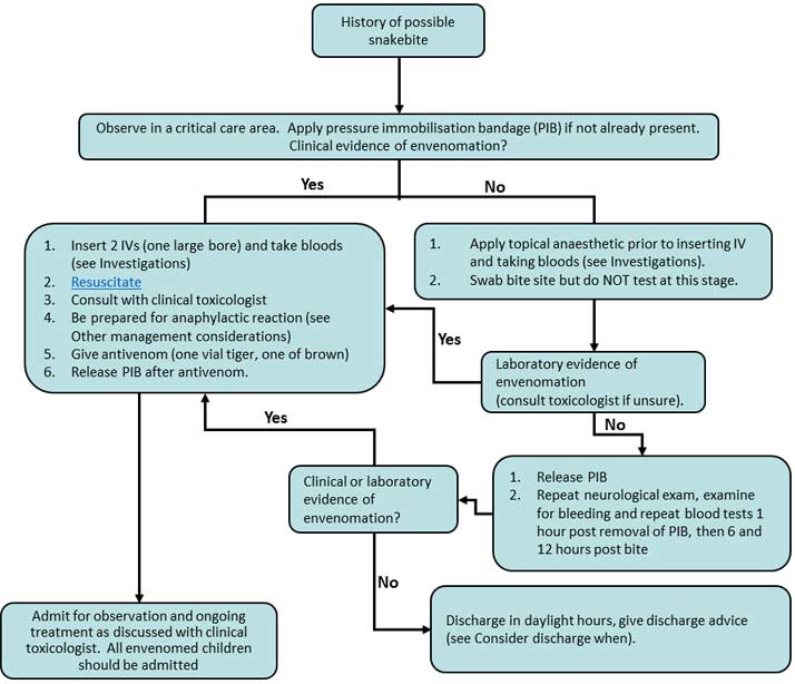 diagram snakebite