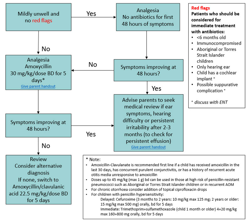 Araña Persistente Provisional Clinical Practice Guidelines : Acute otitis media